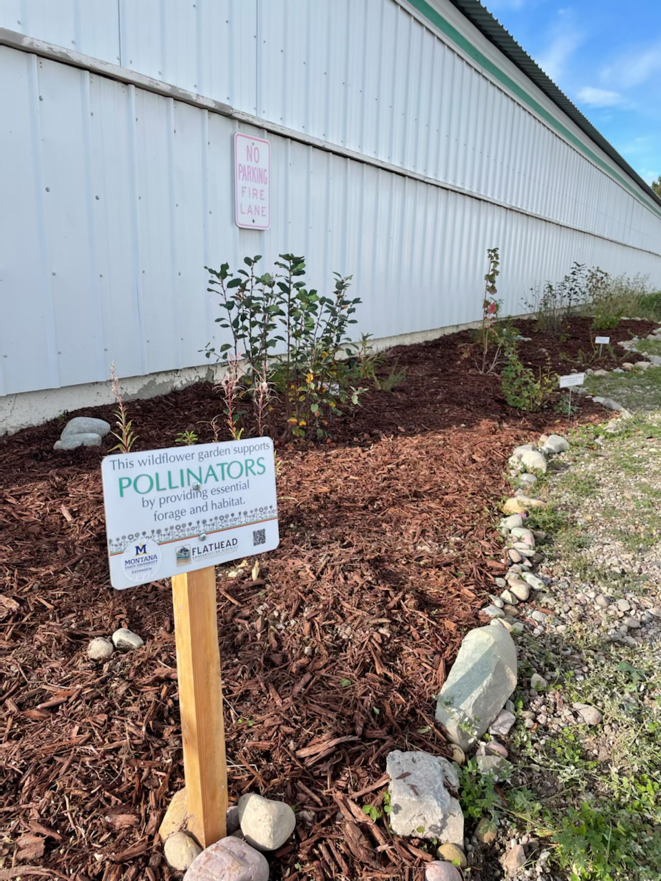 Recently planted Flathead County Fairground's native plant and pollinator garden.