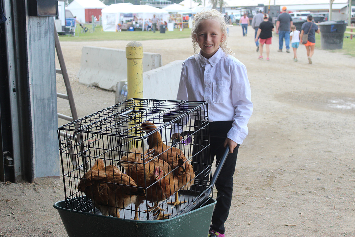 Granite County 4-Her with her market chickens