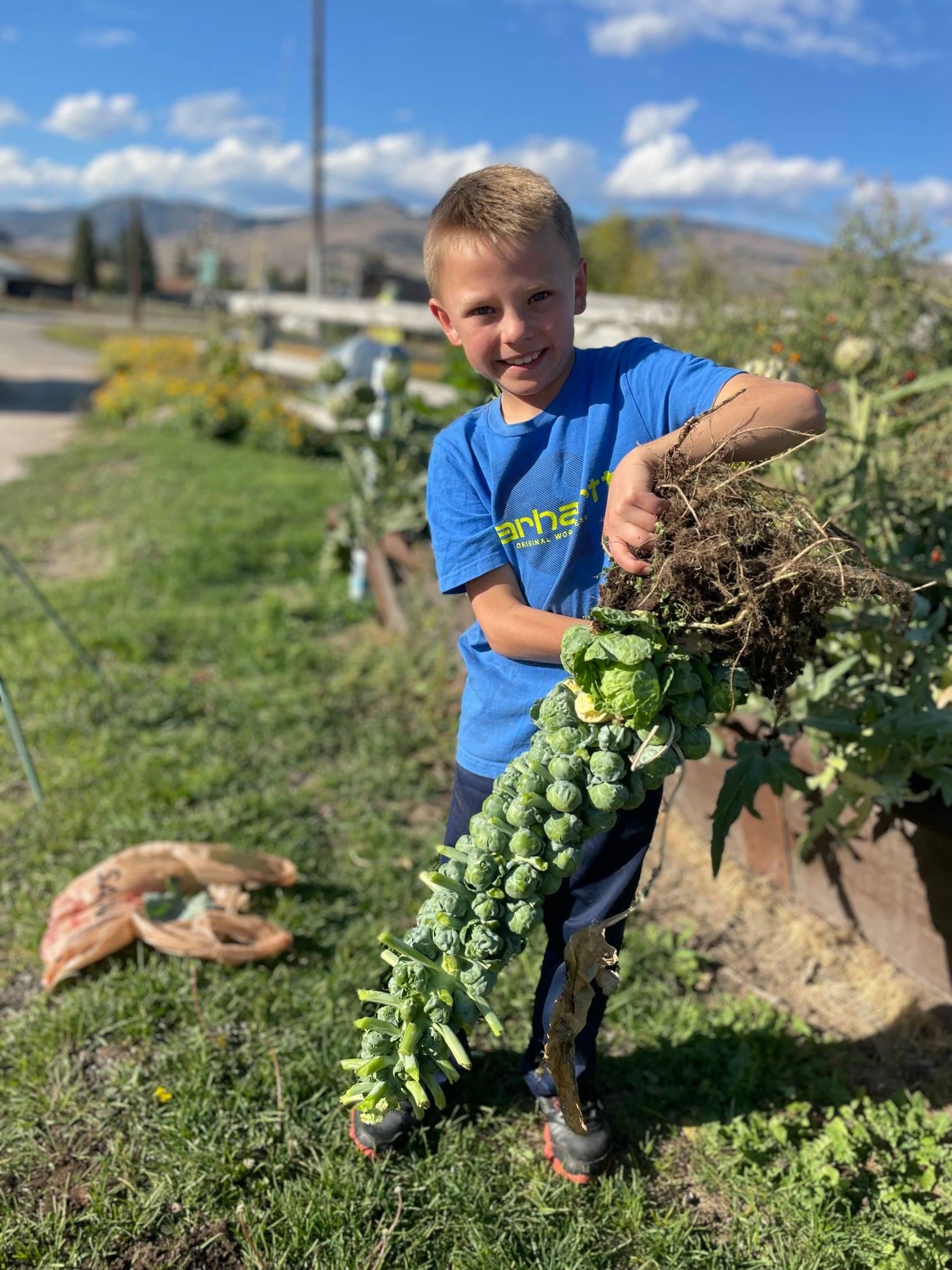 A young Granite County gardener shows off his brussel sprouts