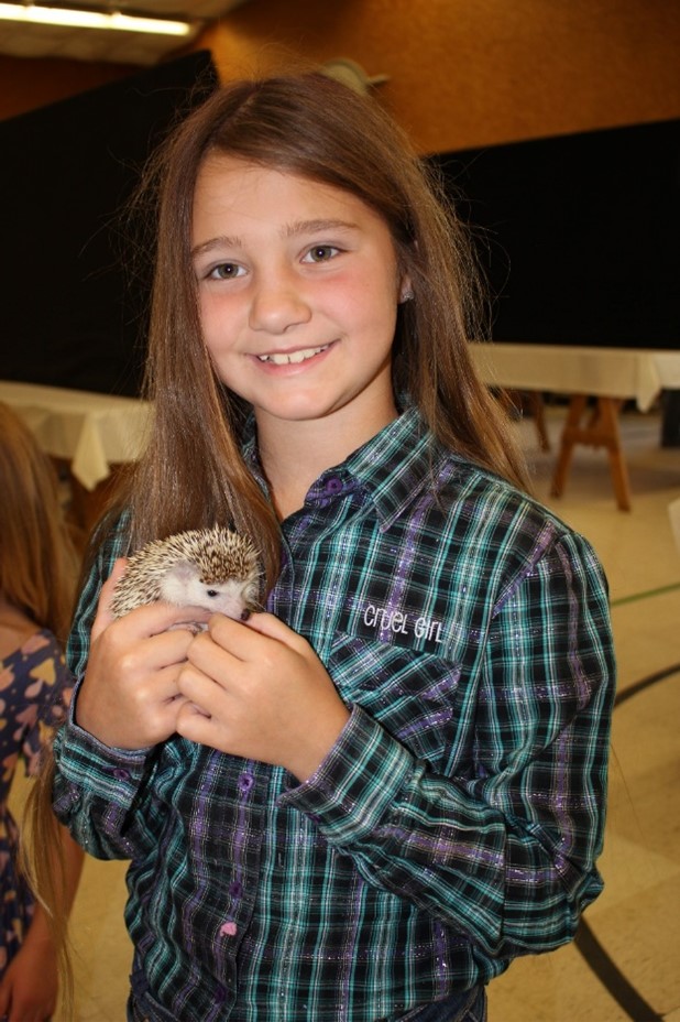 “Spike” the hedge hog was an entry in the Pocket Pet Project by Kaley Rumph at the Powder River County Fair