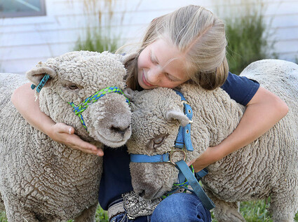 Ayla and her Babydoll Sheep