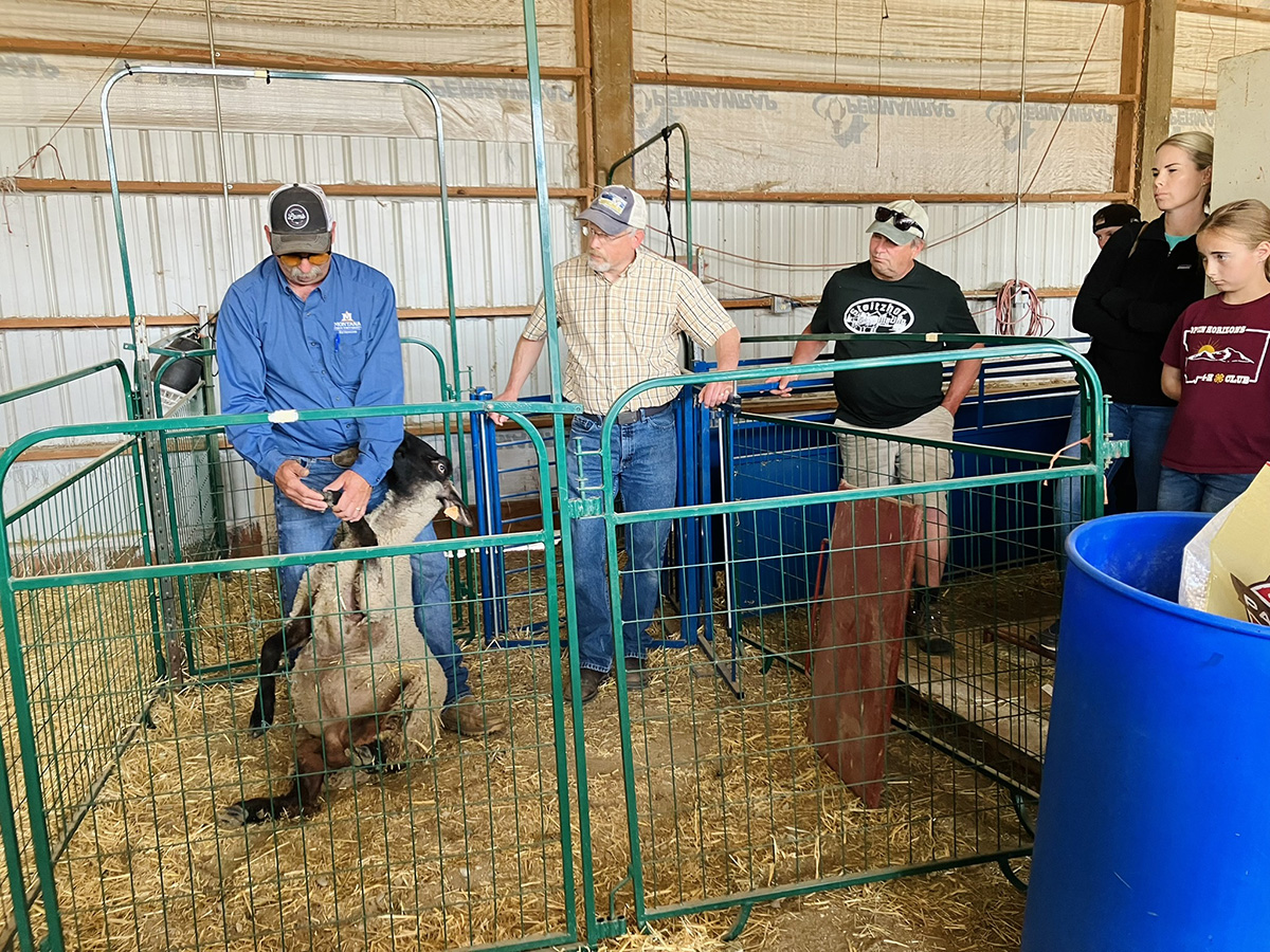 Hoof Trimming Demonstration