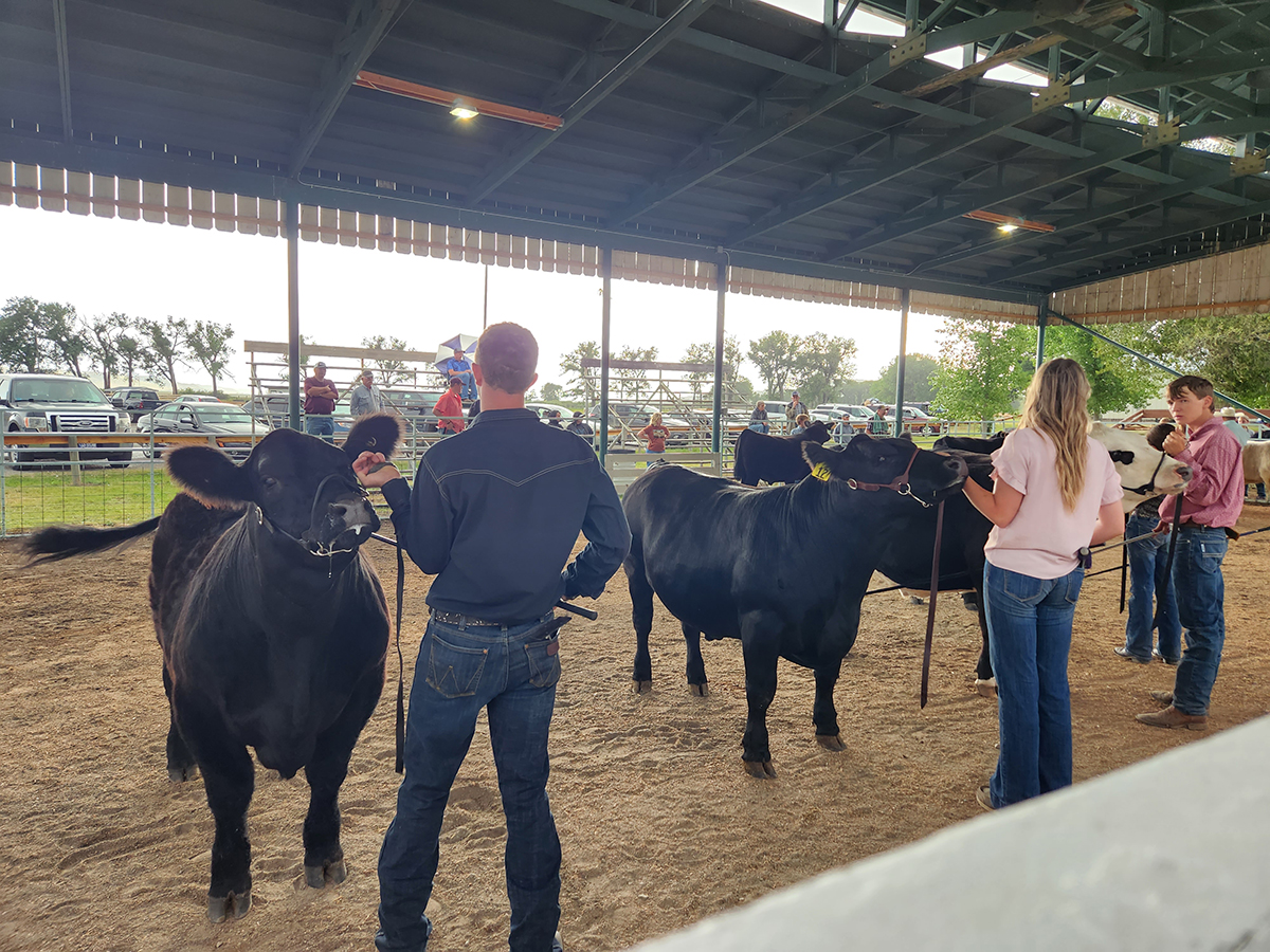 Meeting 4-H youth at Champion’s Fair Show