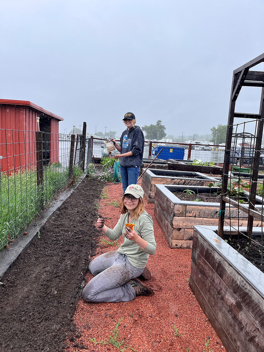 MSU Yellowstone County Agriculture Agent Trestin Feagler and Yellowstone County MSU Extension Intern Ashlee Fraker seed the crop garden. Photo Credit Heidi Schueler