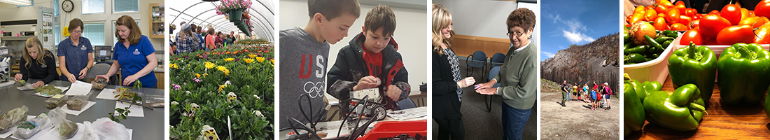 Photo banner of Extension in action. Working in the Schutter lab, touring a greenhouse with flowers, kids working on robotics project, friends at a meeting,  hiking, and fresh red and green peppers.