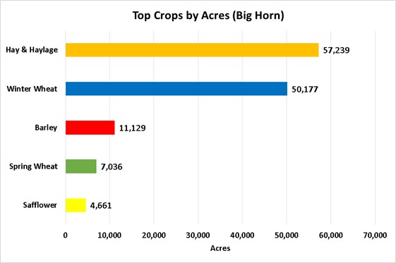 Tops Crops by Acre-Big Horn