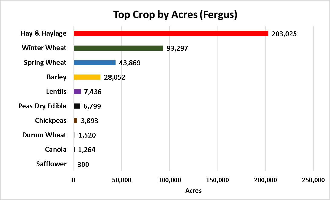 Tops Crops by Acre-Fergus County