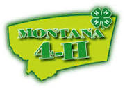 Montana 4-H