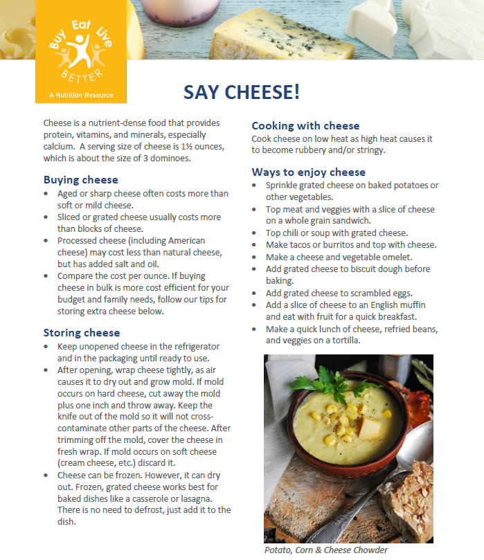 A snapshot of the Cheese factsheet printable PDF