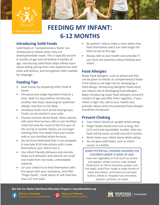 A snapshot of the Feeding Infants 6-12 Months factsheet.
