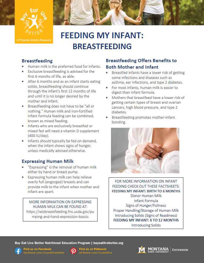 A snapshot of the Feeding My Infant: BReastfeeding printable PDF.