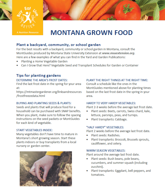 A snapshot of the Montana Grown factsheet printable PDF