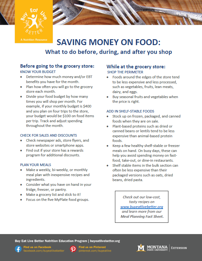 A snapshot of the saving money on food printable pdf
