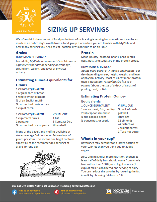 A snapshot of the Serving Sizes factsheet printable PDF