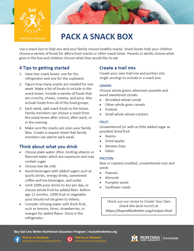 A snapshot of the Snack Box factsheet printable PDF
