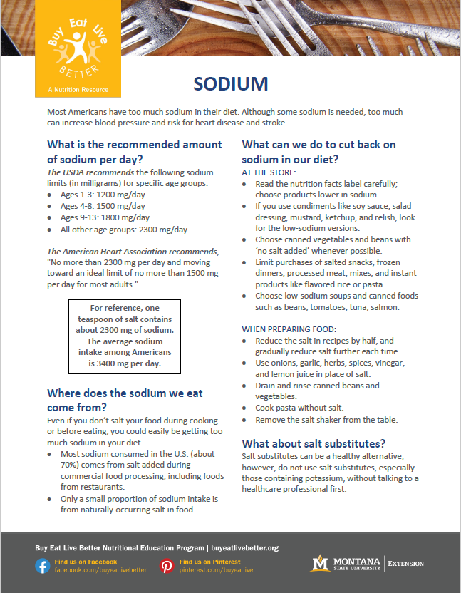 A snapshot of the Sodium factsheet printable PDF