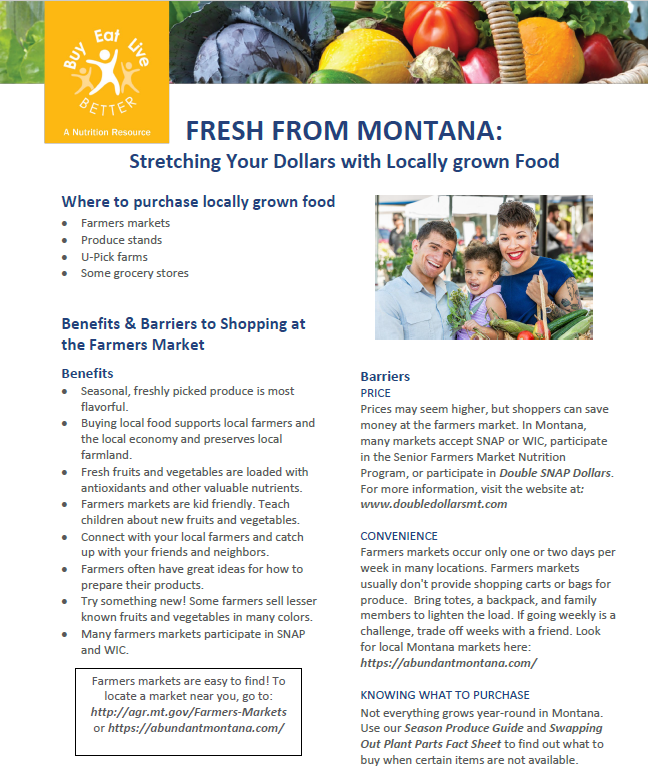 A snapshot of the Stretching Your Food Dollars with Locally Grown Food factsheet printable PDF
