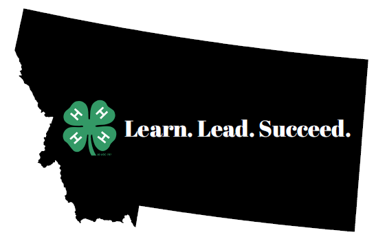 Montana silhouette with 4-H clover, Learn. Lead. Succed written inside the Montana sillouette.