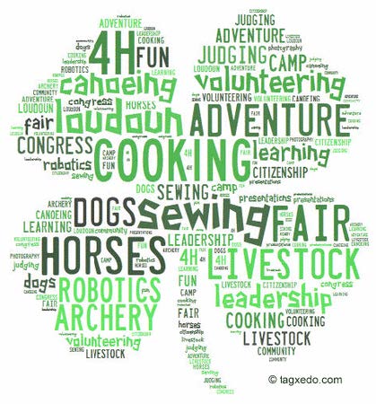 4-H Clover project word collage with many 4-H projects listed. For example: judging, camp, volunteering, congress, adventure, horse, dog, sewing, robotics, archery, etc. For a complete list contact the Cascade County MSU Extension office.