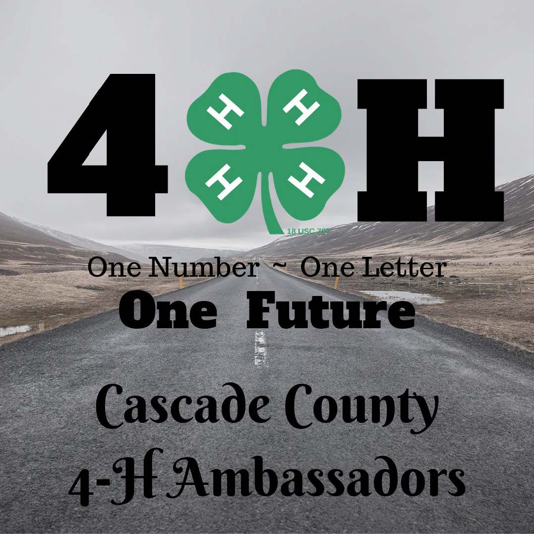 4-H Clover; One Number, One Letter, One Future. Cascade County 4-H Ambassadors with a backroad and rolling hills behind the logo.