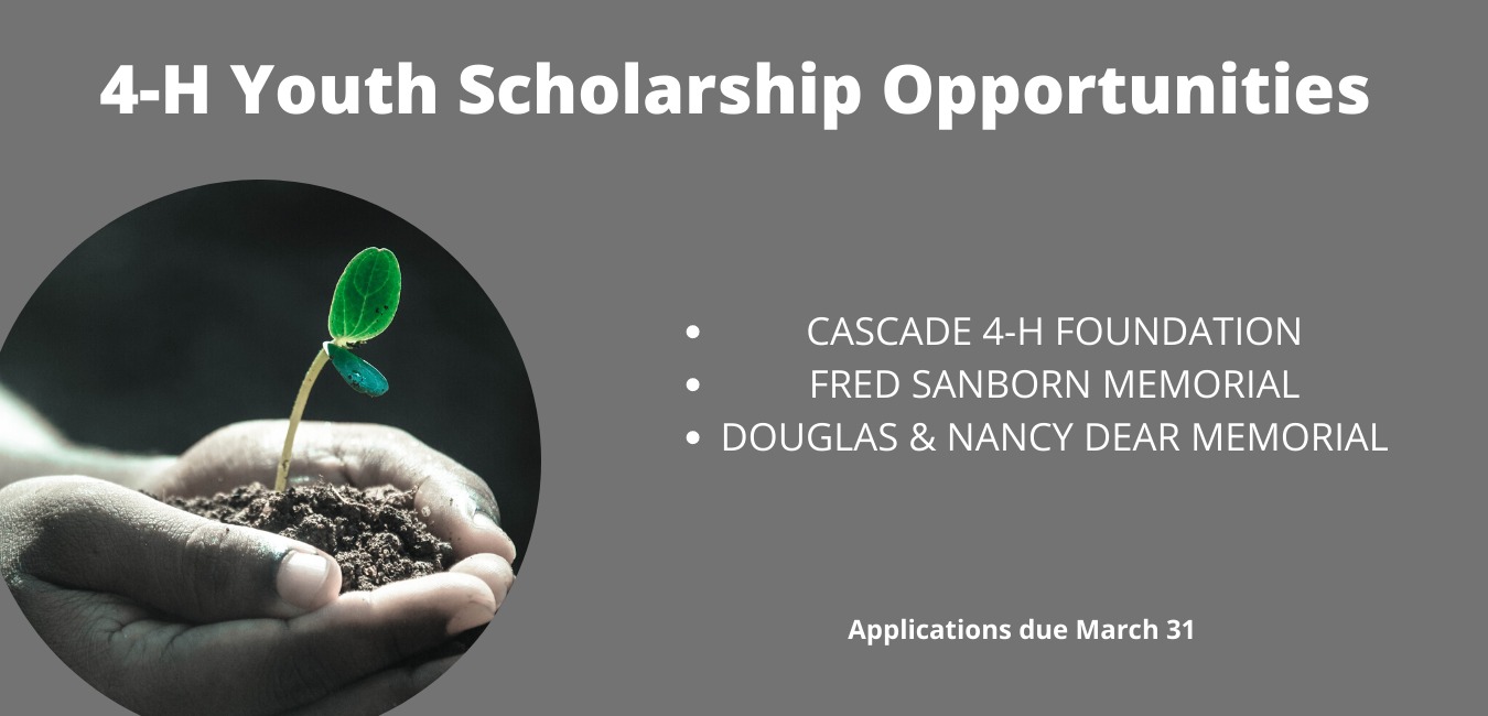 4-H Youth Scholarship Opportunities to include Cascade 4-H Foundation, Fred Sanborn Memorial, and Douglas & Nancy Dear Memorial, with grey back ground. Round bordered Picture of child holding in their cupped hands a green leaf sprouting plant in soil.
