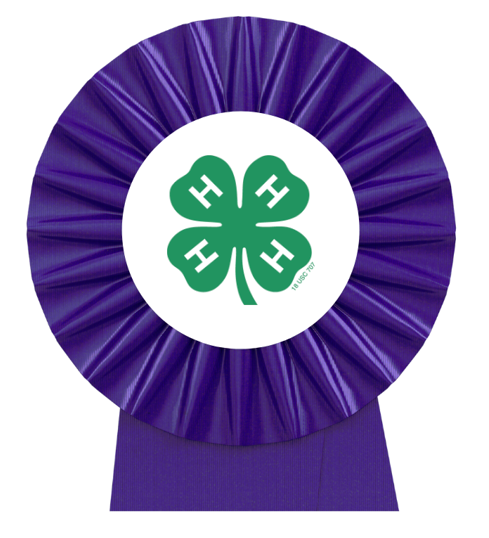Purple rosette ribbon with a green four-leaf clover that has white "H" in each leaf
