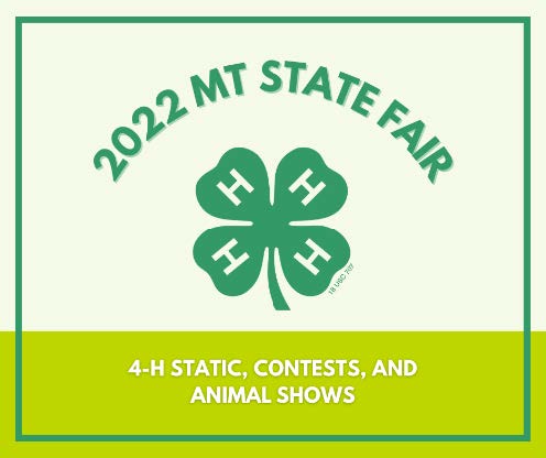 2022 MT State Fair 4-H black and white bumble bee