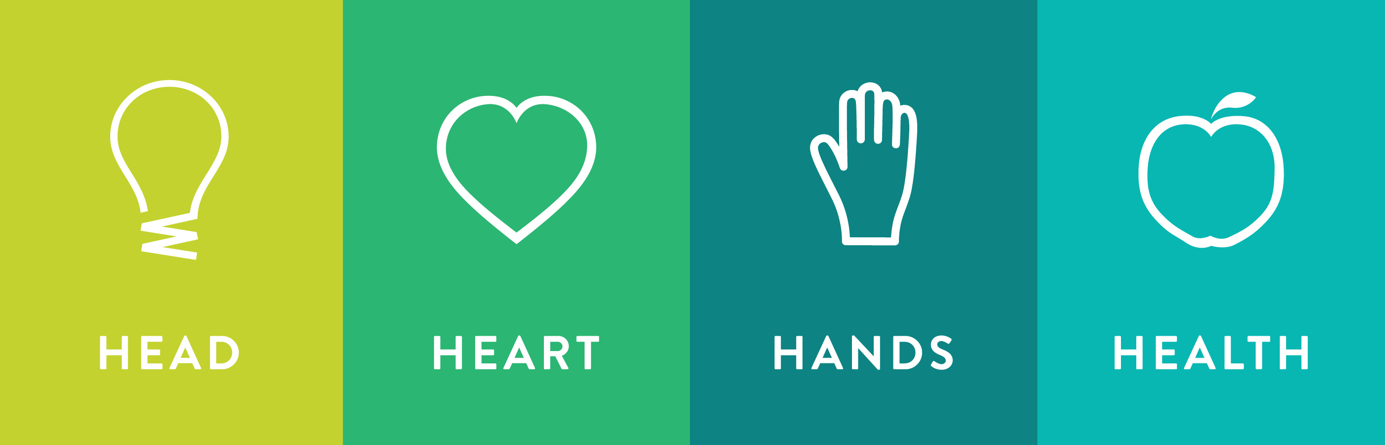 4-H icons, Head represented by a light bulb icon on a lime green background, Heart represented by a heart icon on a kelly green background, Hands represented by ahand icon on a hunter green background, Health represented by an apple icon on a teal blue background.