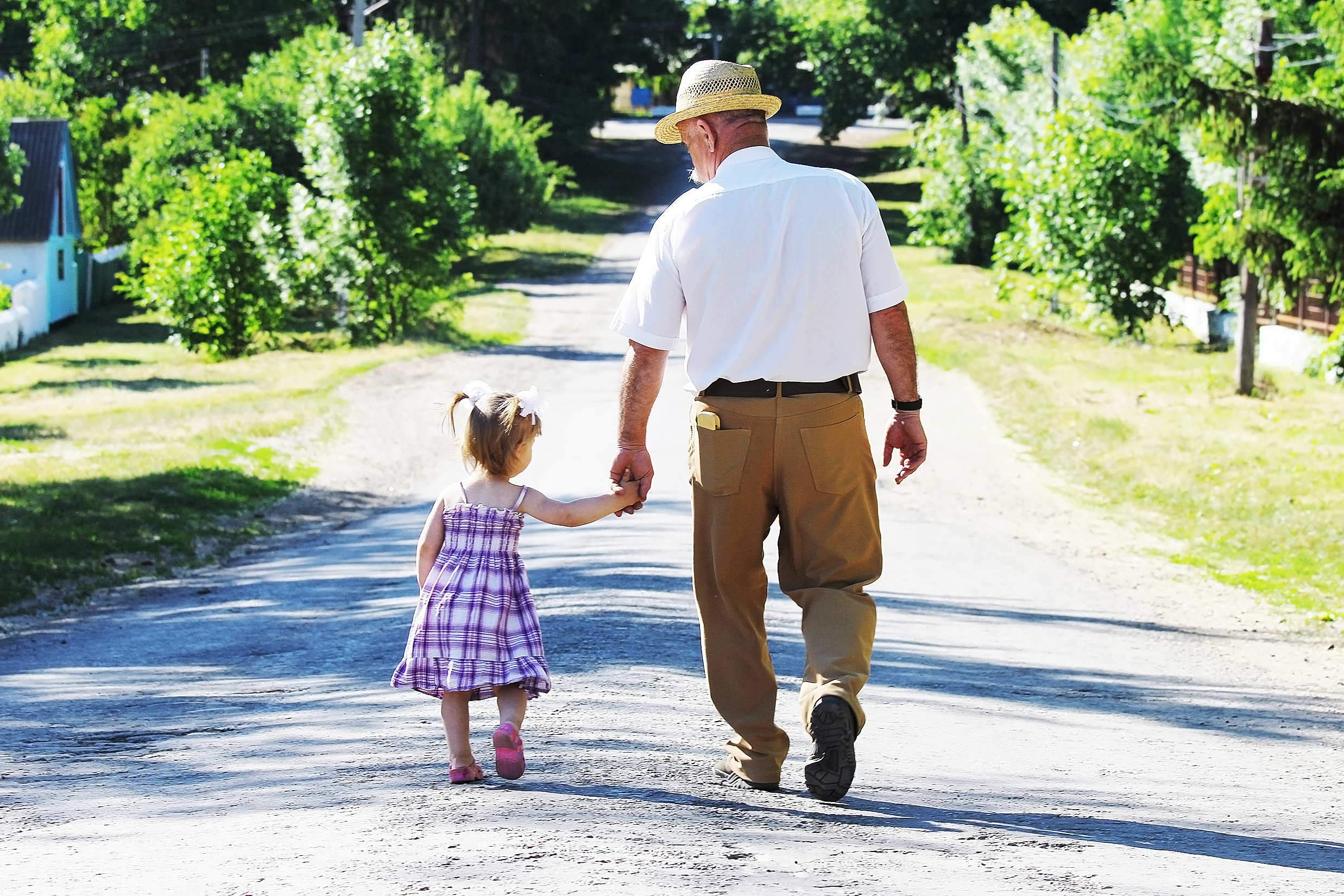 On a long gravel path boardered by green lush leaves is a grandfather dressed in tan slacks, white shirt, and tan fedora walking hand-in-hand with a toddler aged girl in pigtails and a multicolored sundress.