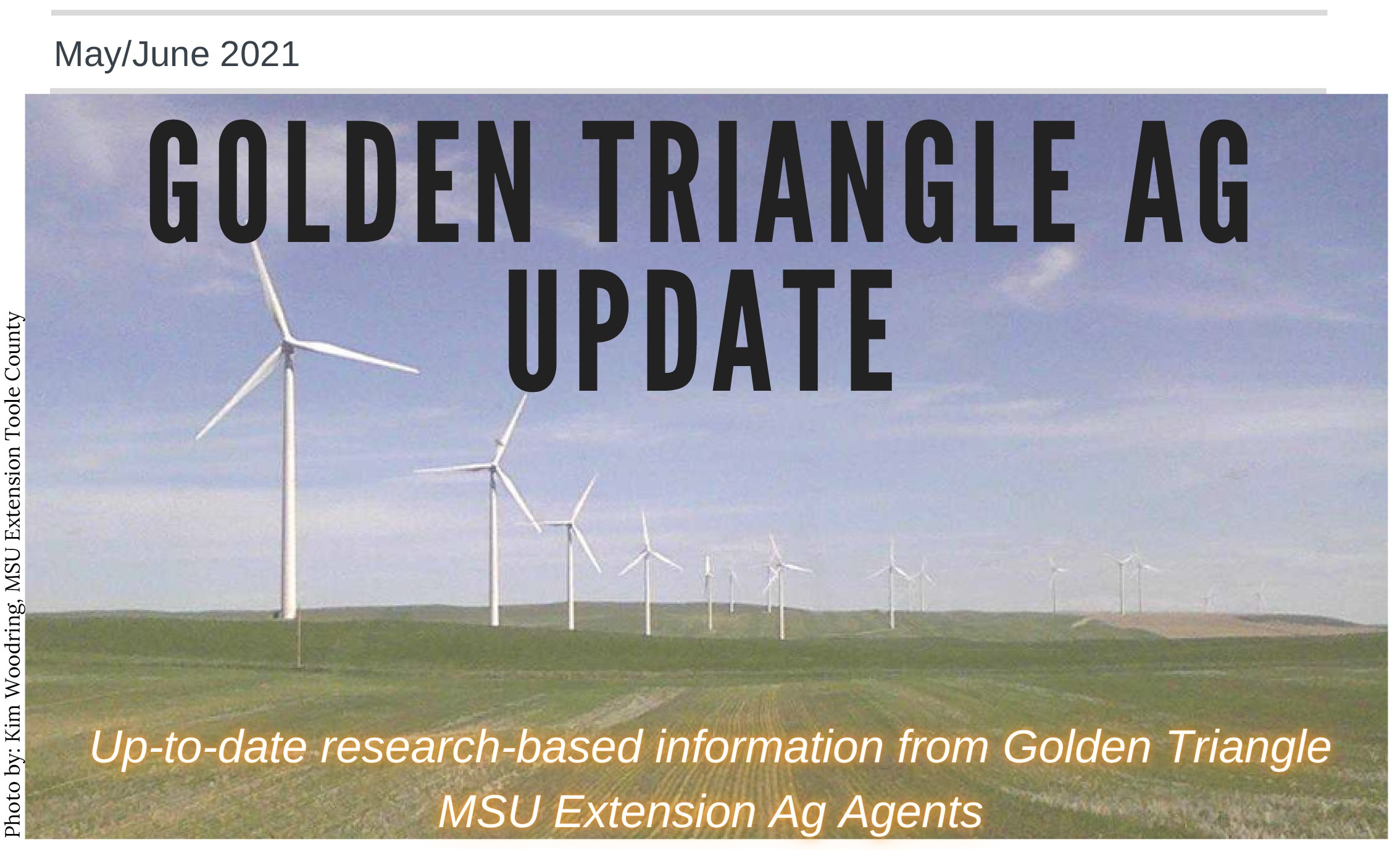 Golden Triangle Ag Update May-June 2021