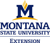 Extension_Logo