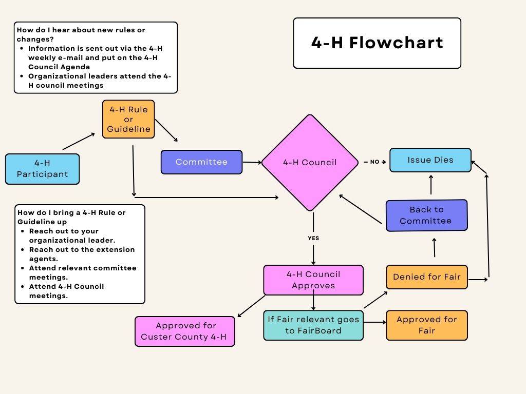 boxes and arrows additionally illustrating the rule process described in the paragraph. 