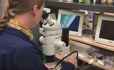 Photo of Mary Burrows using a lab microscope