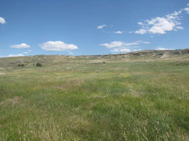 Landscape of Fallon and Carter Counties