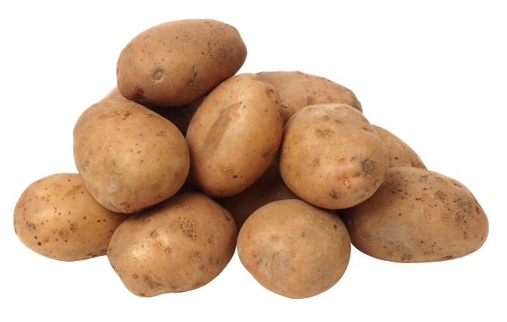 Seed white Potatoes