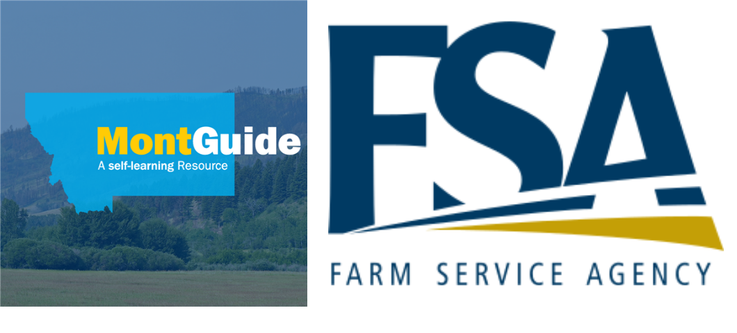 New MSU Extension MontGuide:  What is the Farm Service Agency (FSA)?