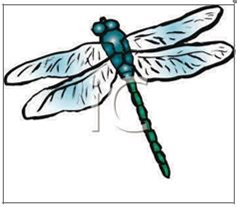 Picture of dragonfly