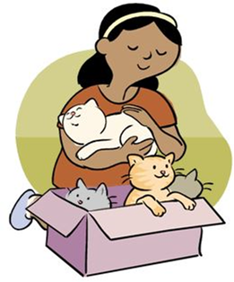 picture of a girl holding a kitten with a box of kittens