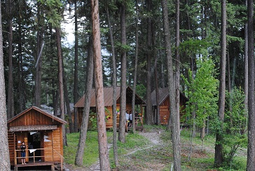 4-H Camp