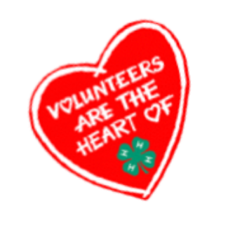 Volunteers are the heart of 4-H image