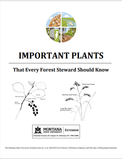 Cover pic Imortant Plants