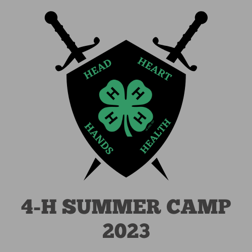 2023 Summer Camp Logo