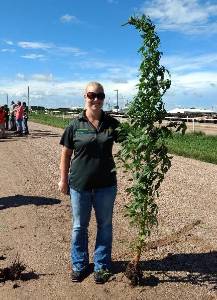 woman holding large noxious weed