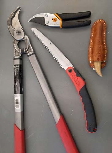 An assortment of pruning tools