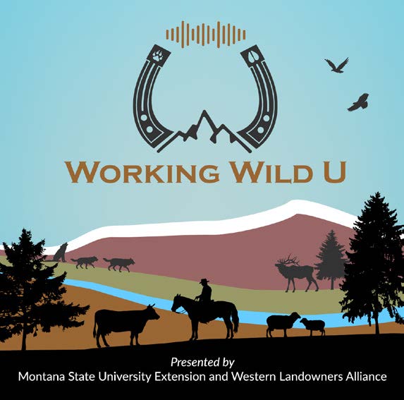 Working Wild U podcast logo with text: presented by Montana State University Extension and Western Landowners Alliance