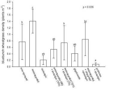 graph showing effect of herbicide on bluebunch wheatgrass density 4 years after treatment