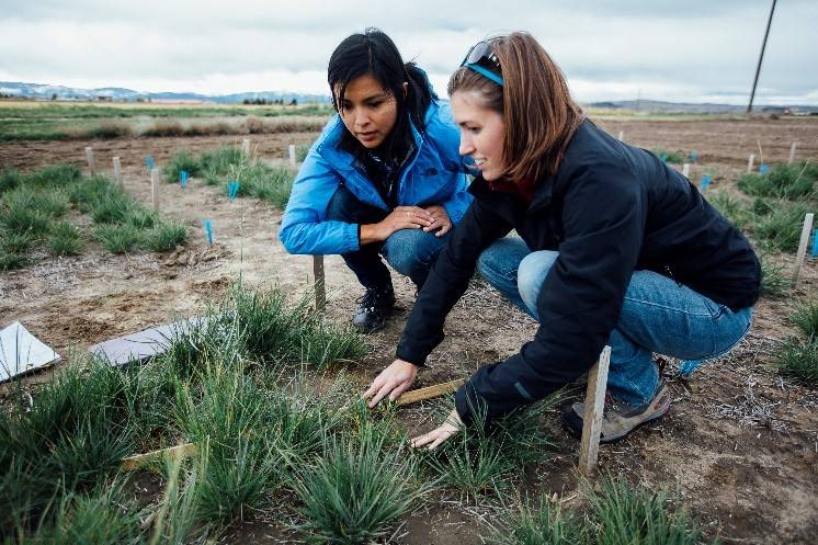 Image of two researchers collecting data