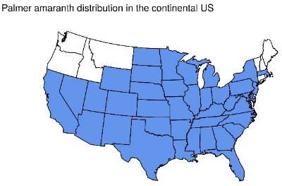 Map of where Palmer amaranth is