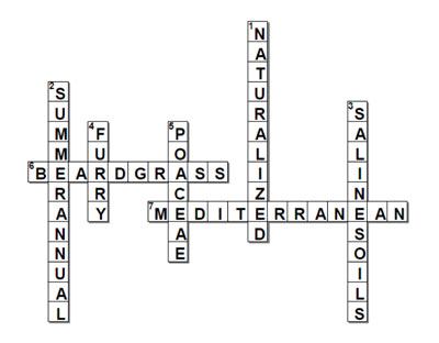 Completed crossword, answers also listed in text