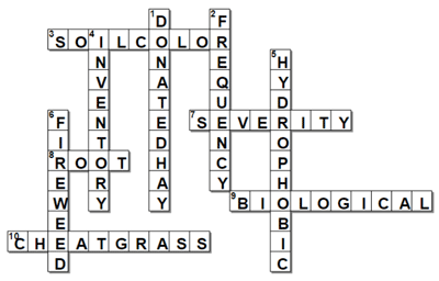 2020 Crossword Puzzles - MSU Extension Invasive Plants